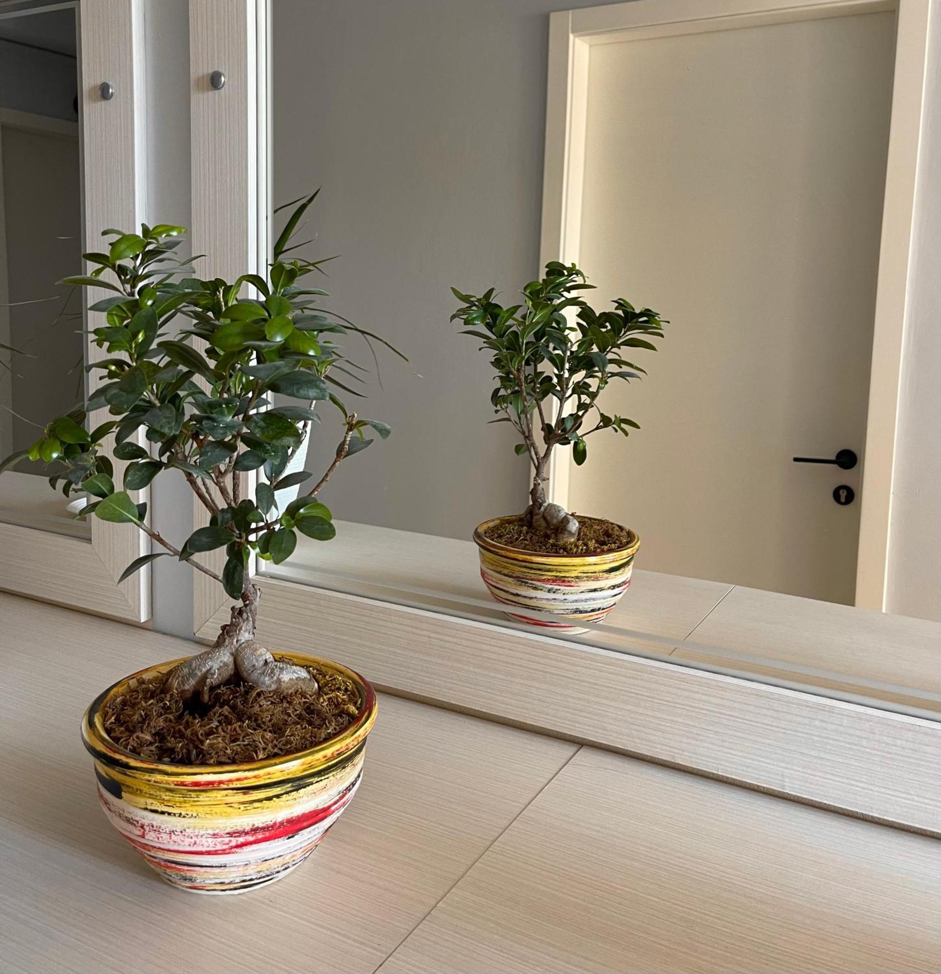 Melina Apartments Sarande Luaran gambar